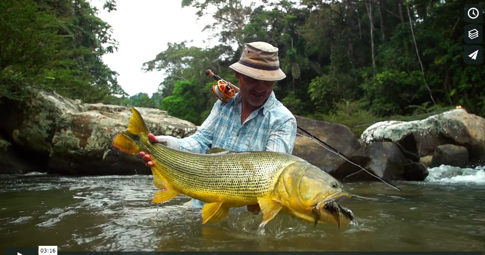 Curso avanzado de pesca de dorados